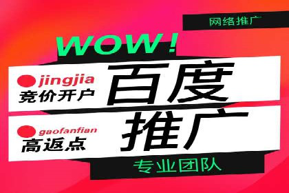 深度解析：百度竞价托管公司成功案例的共同点